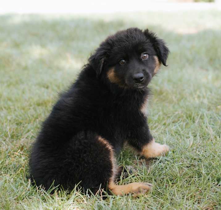Photo of Relish