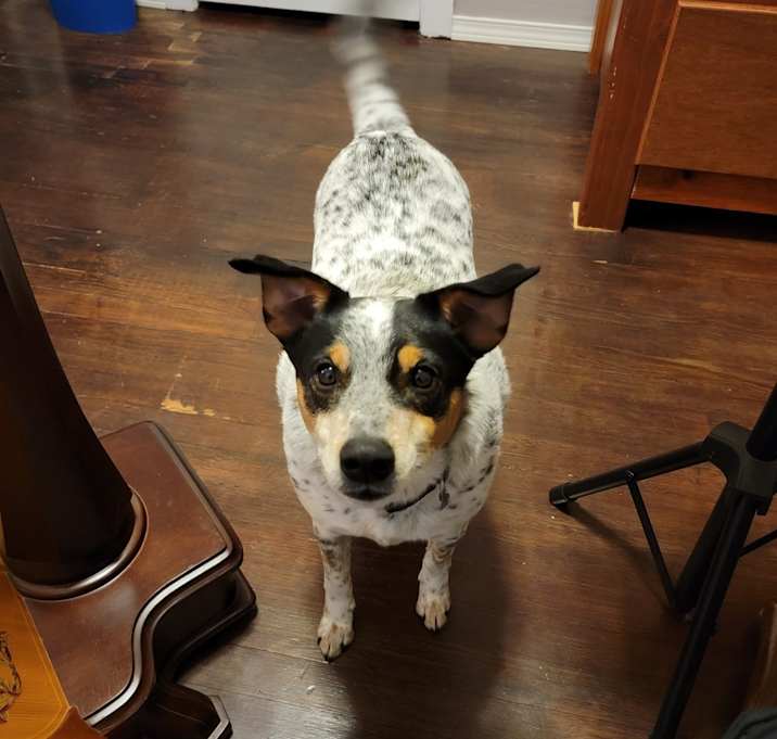 Photo of Blue