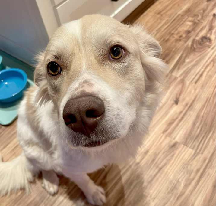 Photo of Sandy