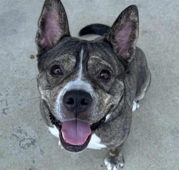 Photo of Thor