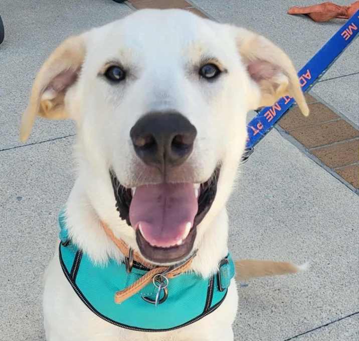 Photo of Baylor
