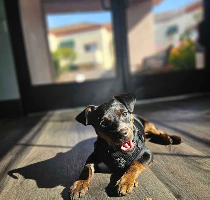 Photo of Tito