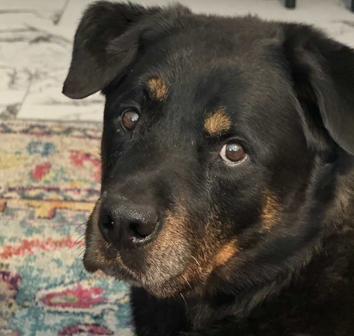 Photo of Brando