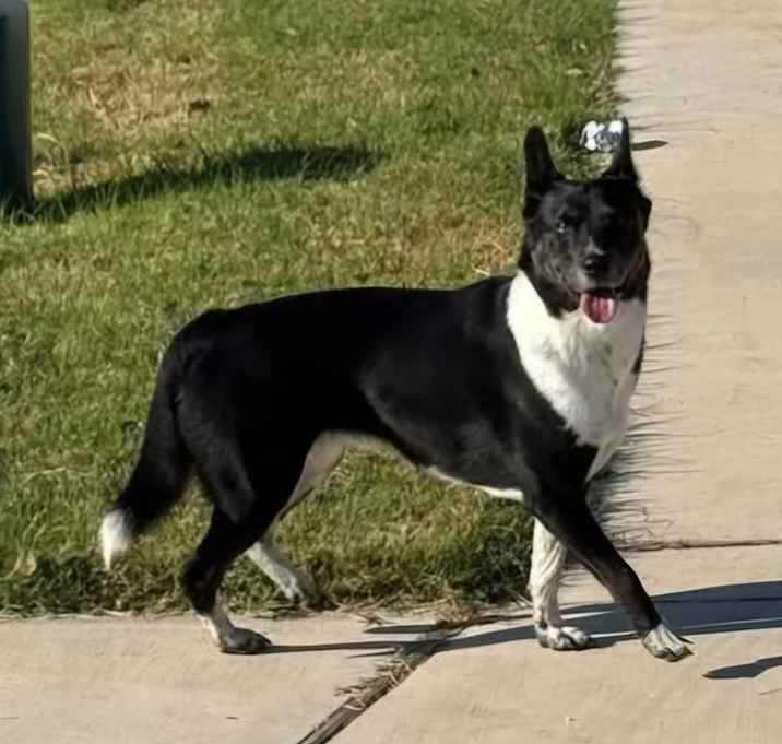 Photo of Lola