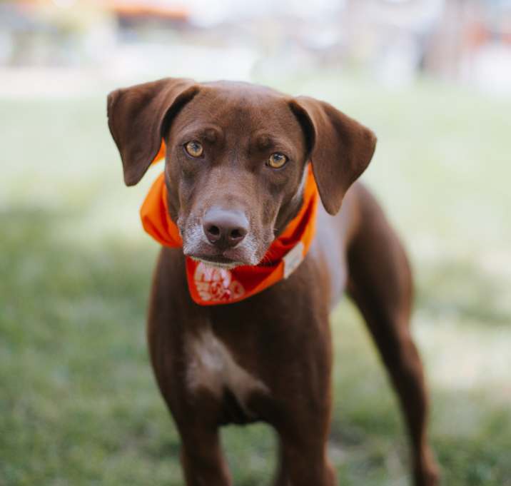 Photo of Lolo