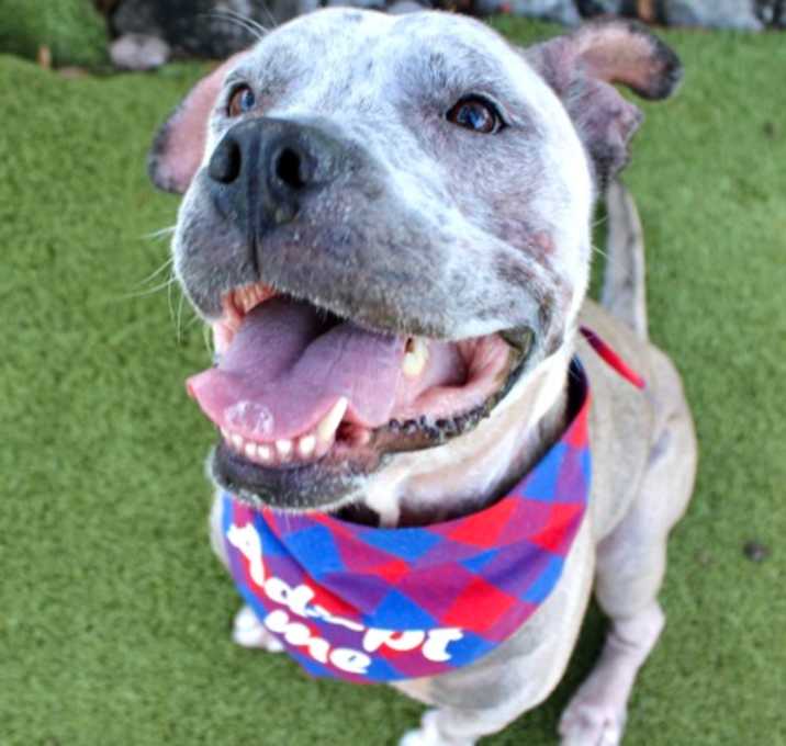 Photo of Paisley