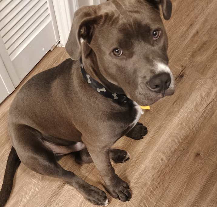 Photo of Roki