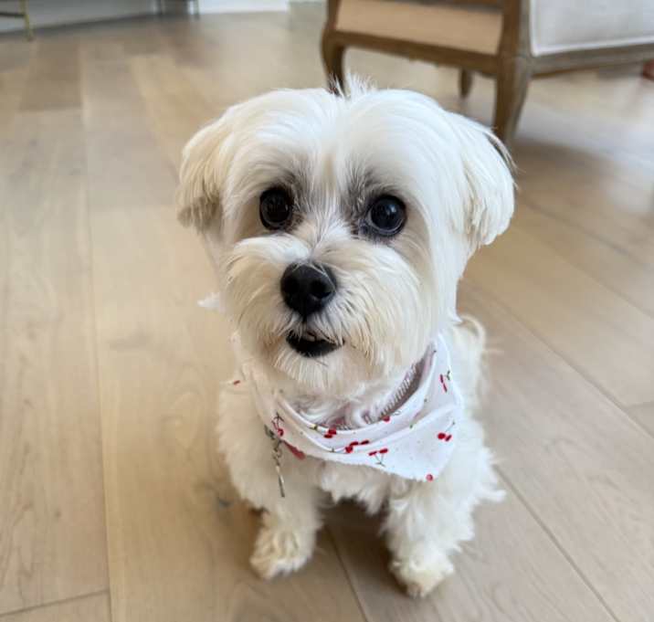 Photo of Daisy Sunshine