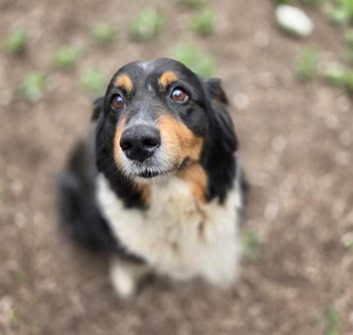 Photo of STAR
