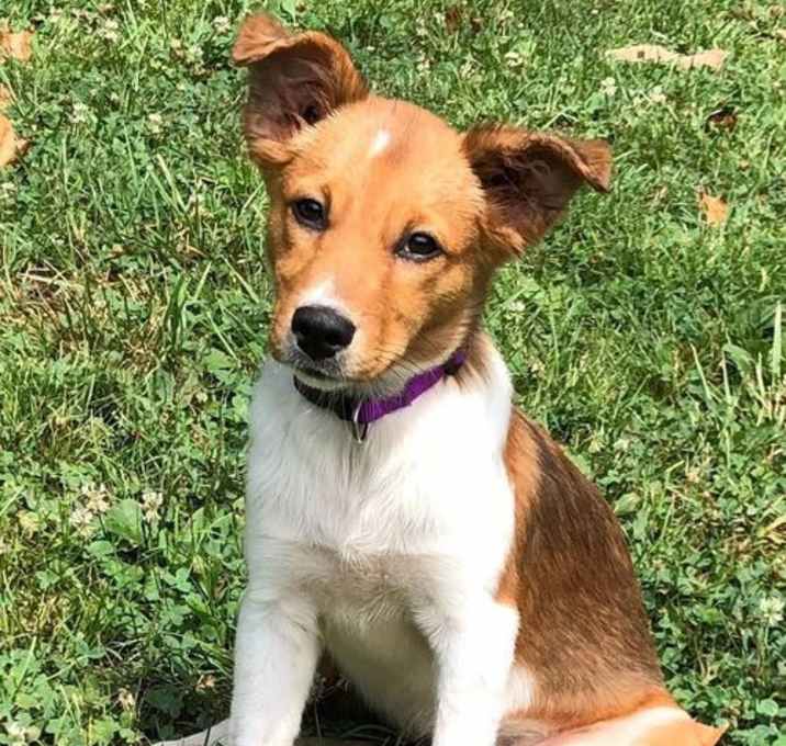 Photo of Elsie