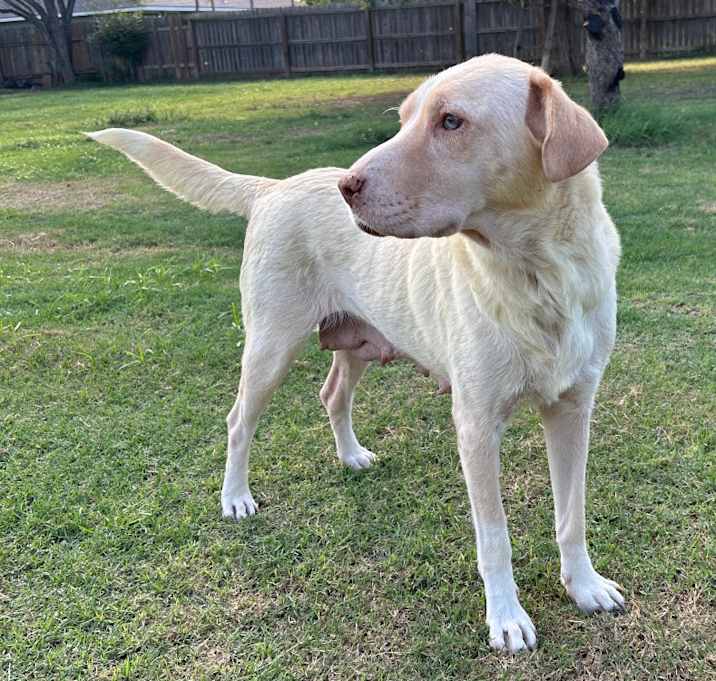 Photo of Bagel 25-05-192