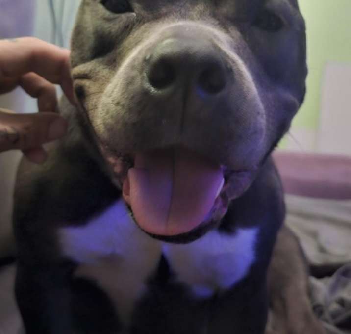 Photo of Baby Girl