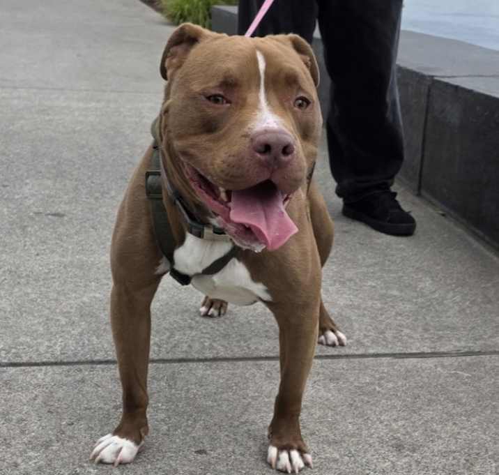 Photo of Buddy