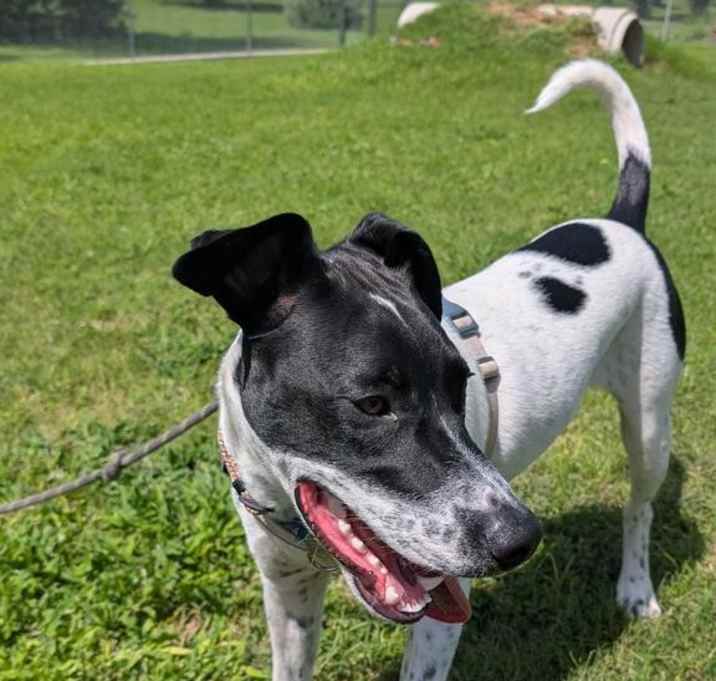 Photo of Finn