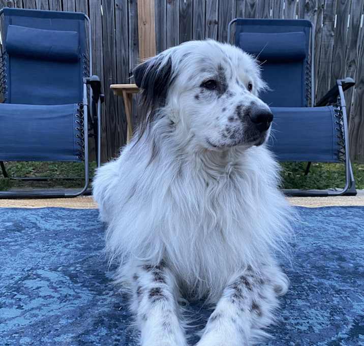 Photo of Stoney
