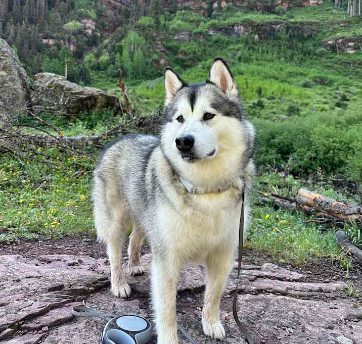 Photo of Cuzco