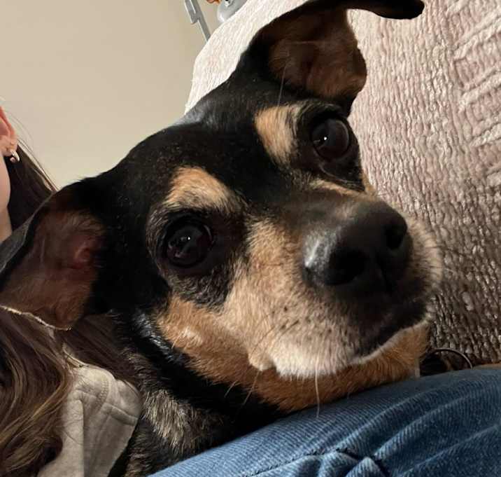 Photo of Mattie