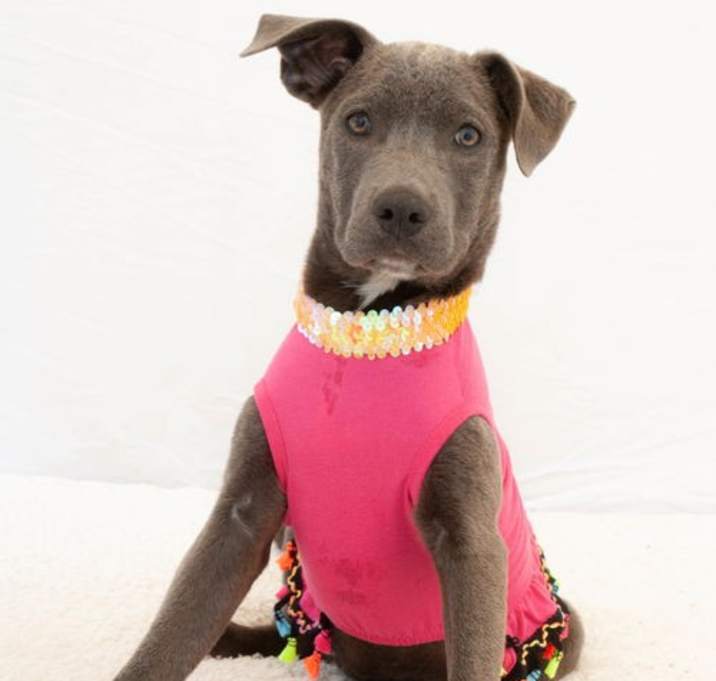 Photo of Sally