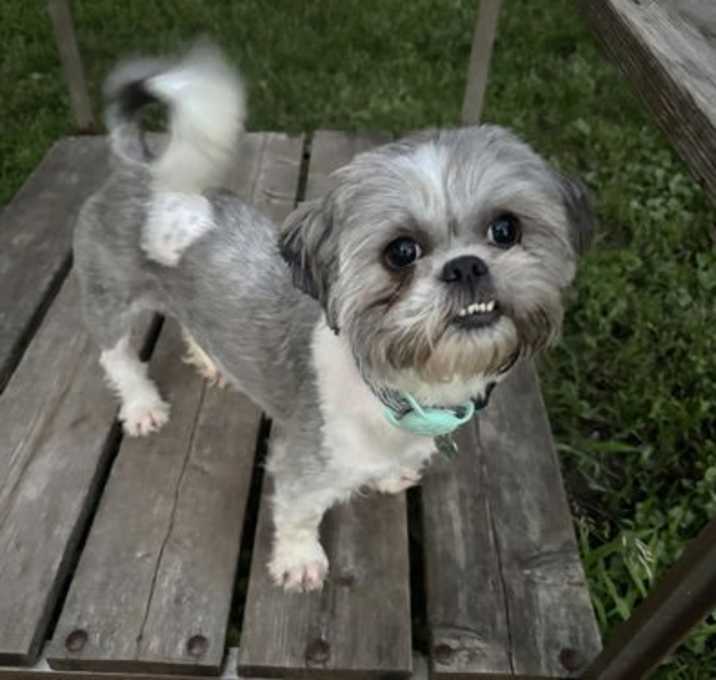 Photo of Matilda