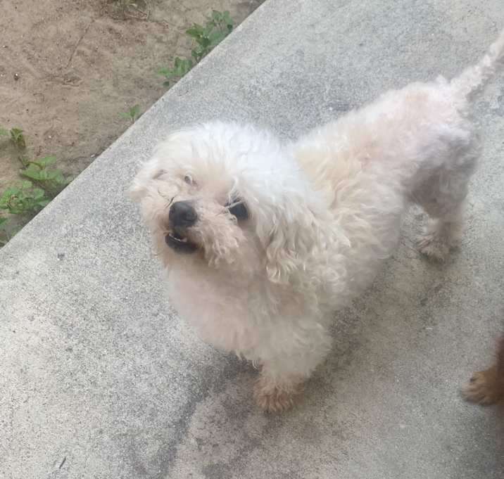 Photo of Luna