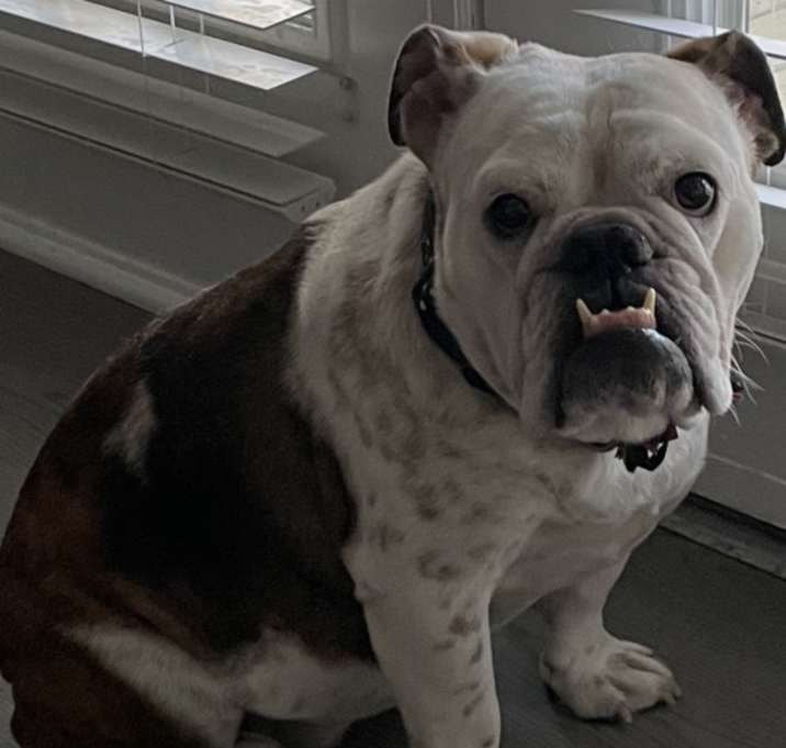 Photo of Zoe