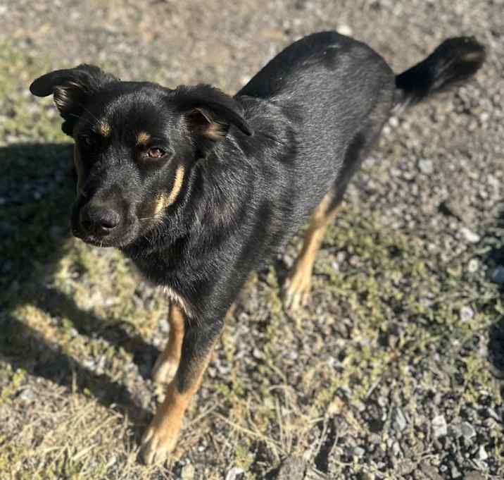 Photo of Charlie