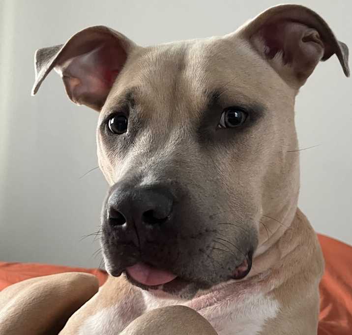 Photo of Charlo