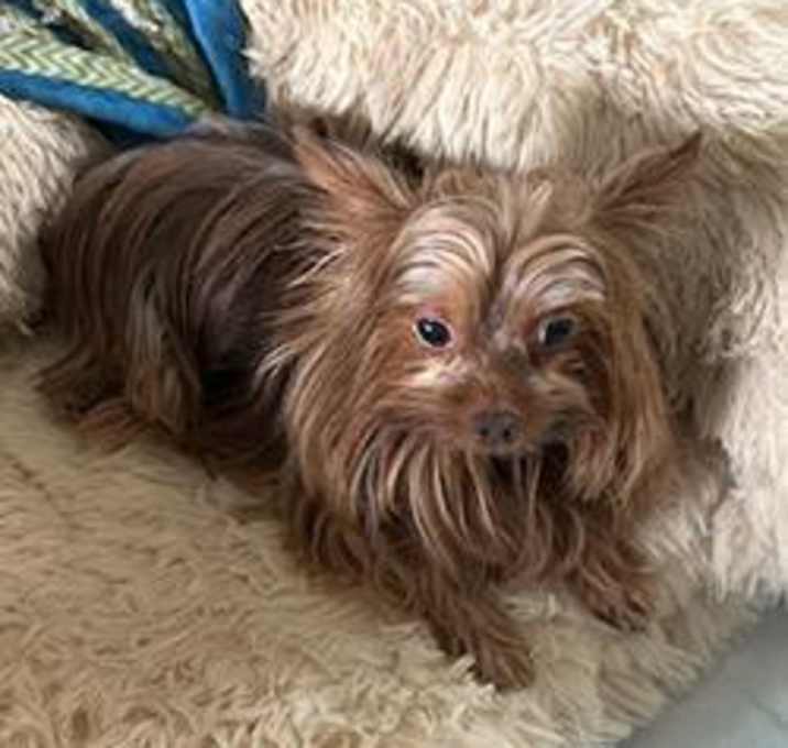 Photo of Coco