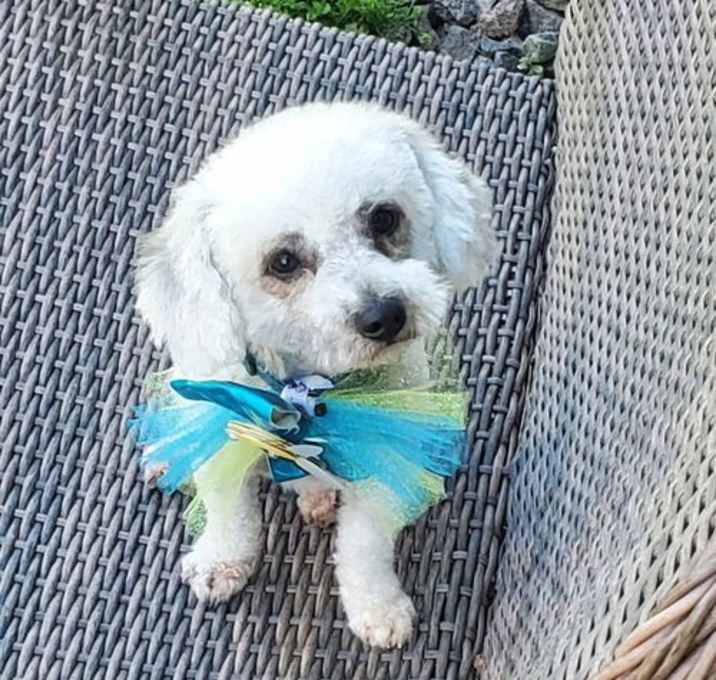 Photo of Barkley