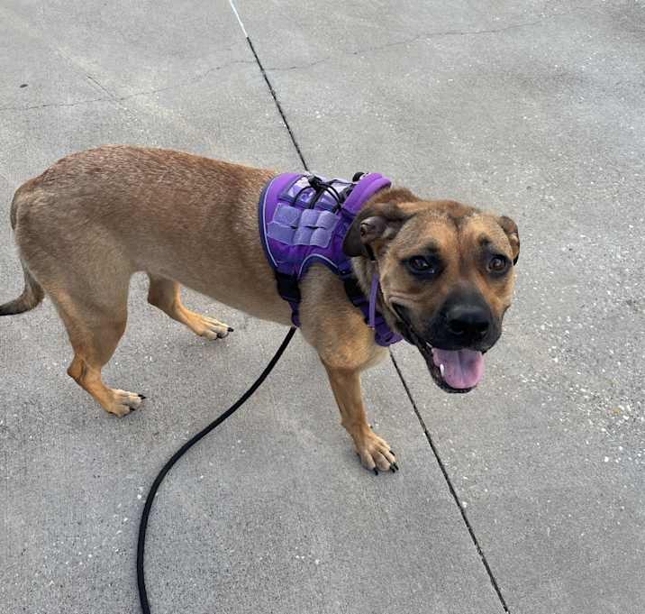 Photo of Sammy