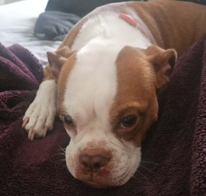 Photo of Emma
