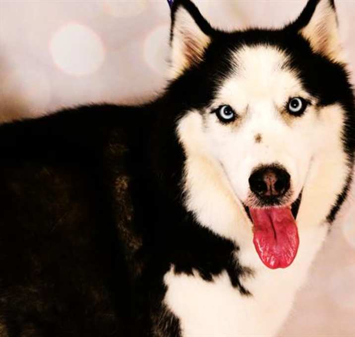 Photo of BLUE
