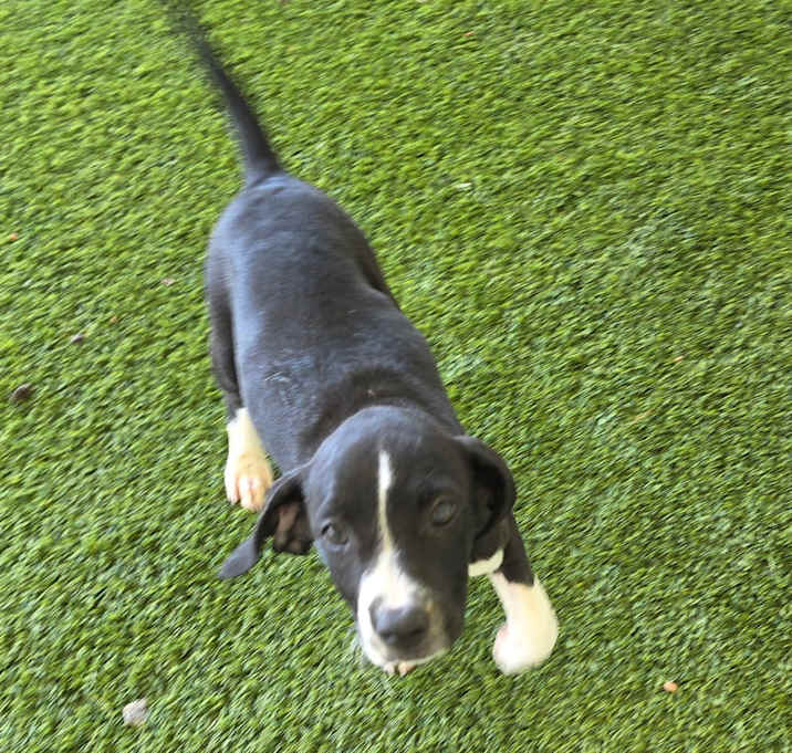 Photo of MOLLY 2556