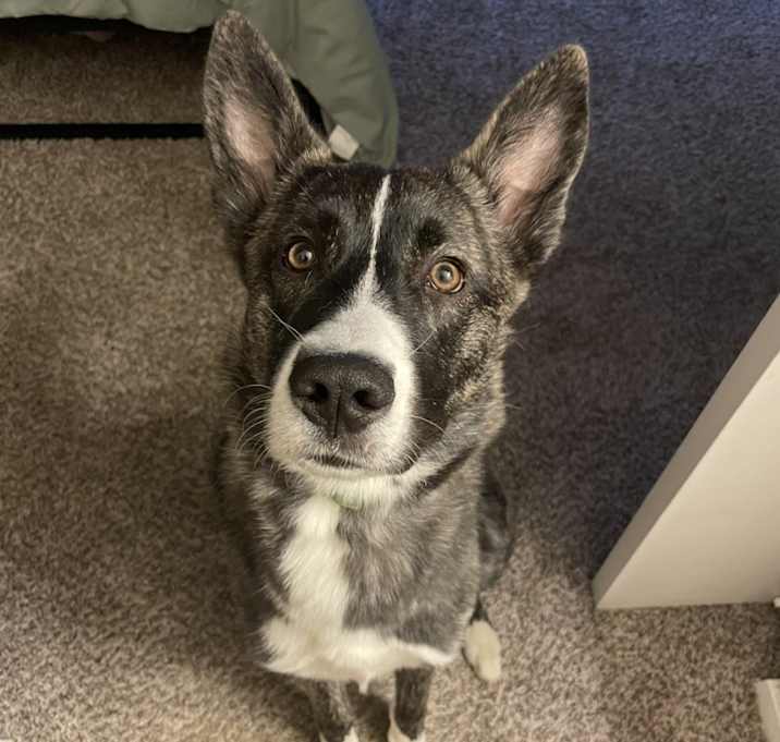 Photo of Queso