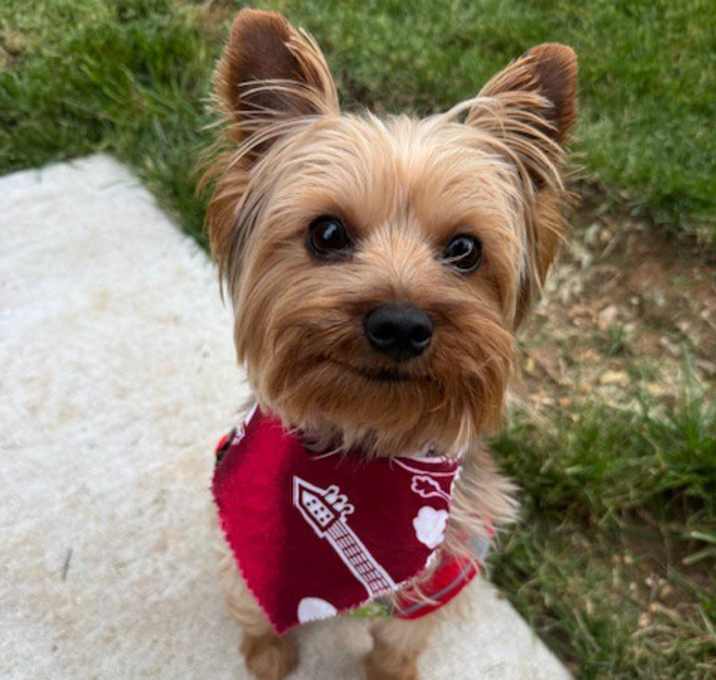 Photo of Albert