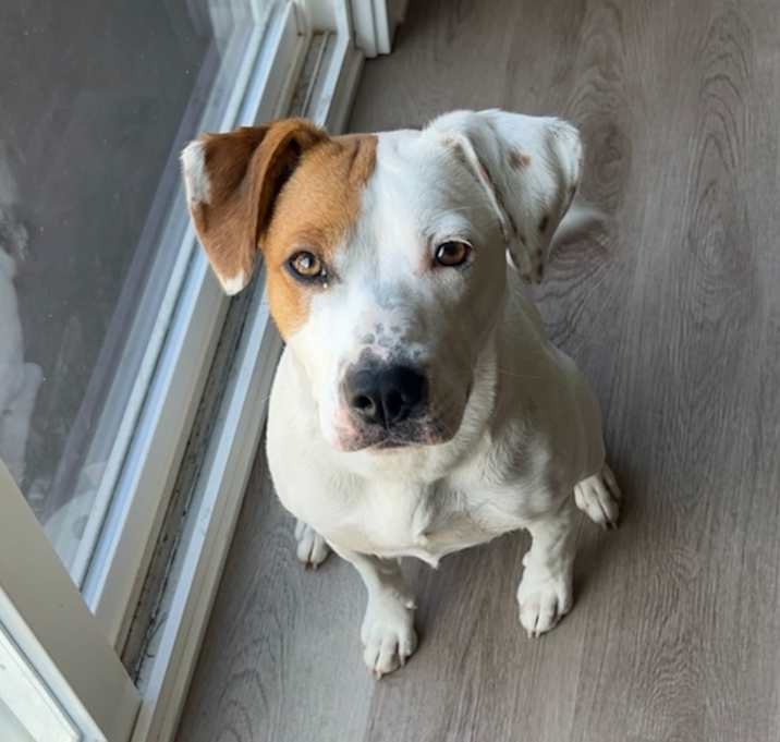 Photo of Ruthie
