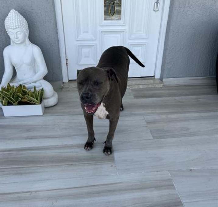 Photo of PORTIA