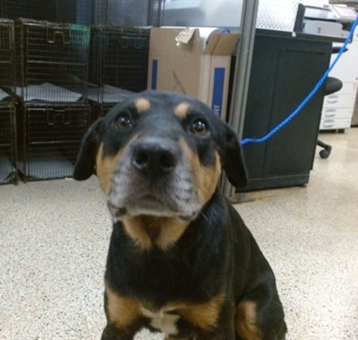 Photo of PATCH