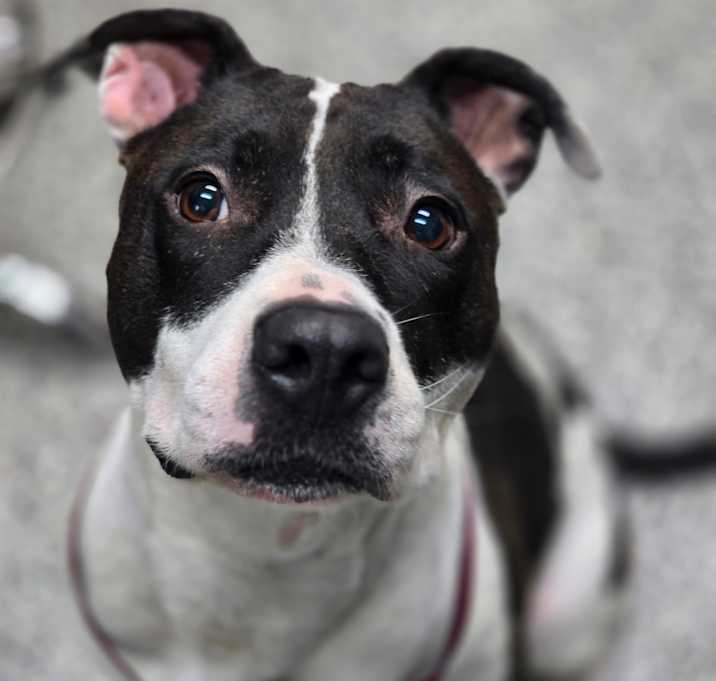 Photo of Betty