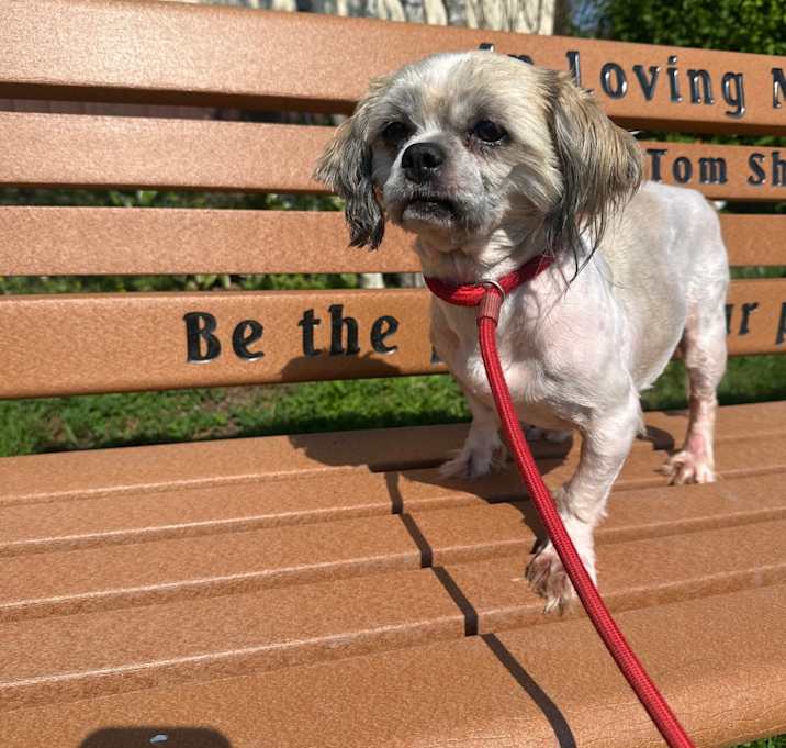 Photo of Hazel