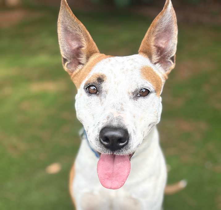 Photo of  Fenny