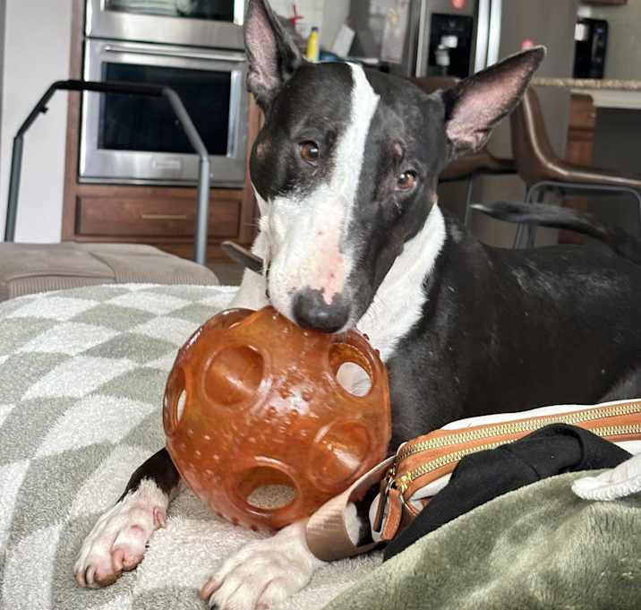 Photo of Zoe