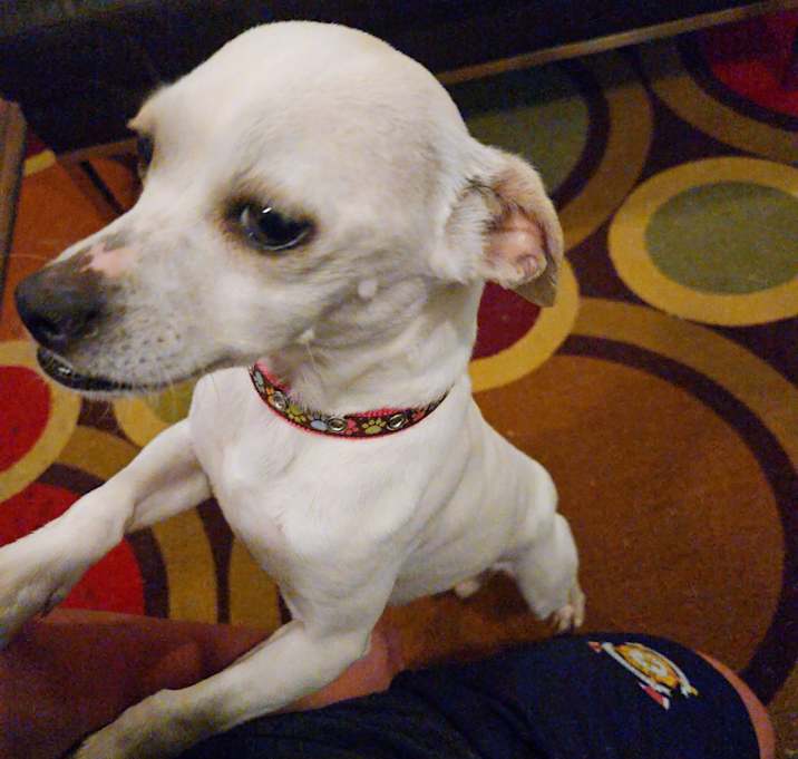Photo of Hazel