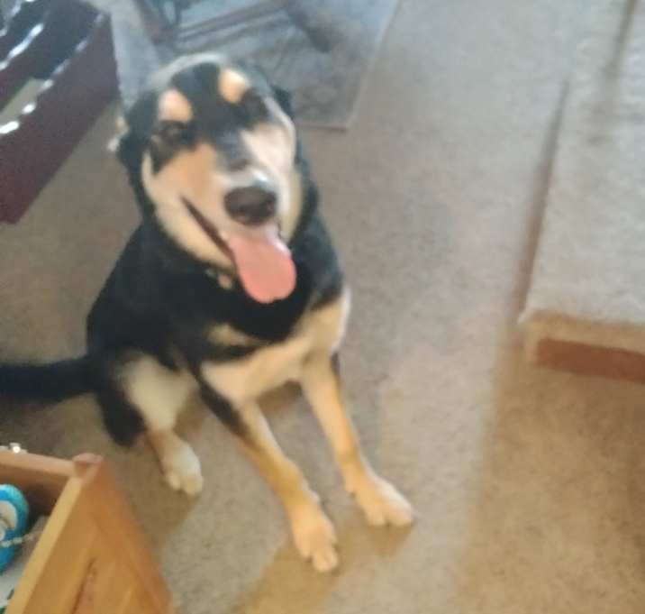 Photo of Zeus