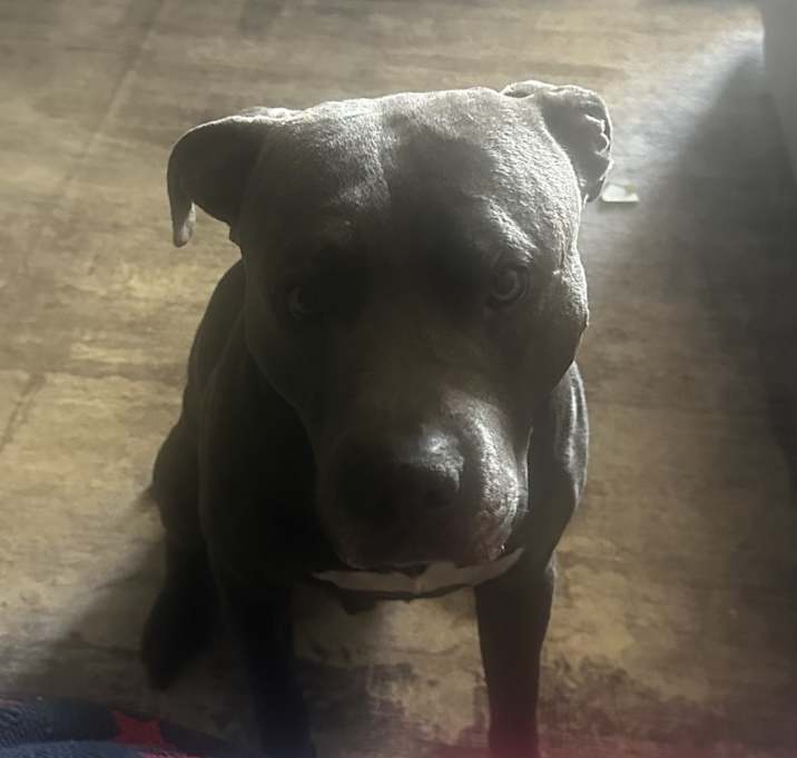 Photo of Mack