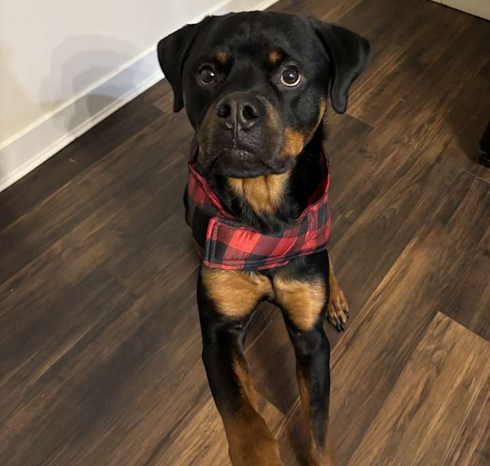 Photo of Oso