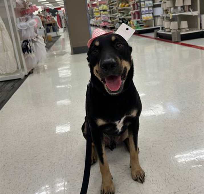 Photo of MACHO