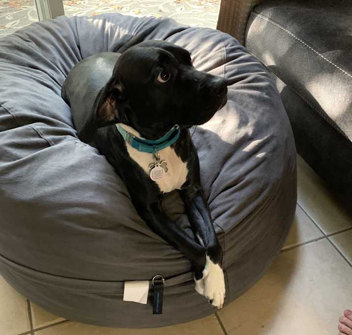 Photo of Lily