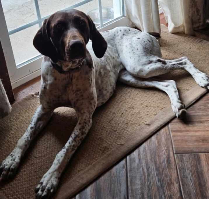 Photo of BELLA