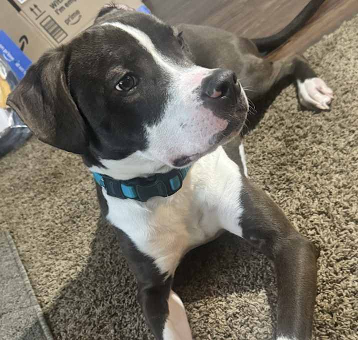 Photo of Capone